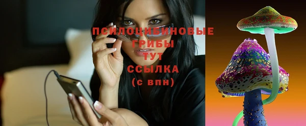 spice Заволжск