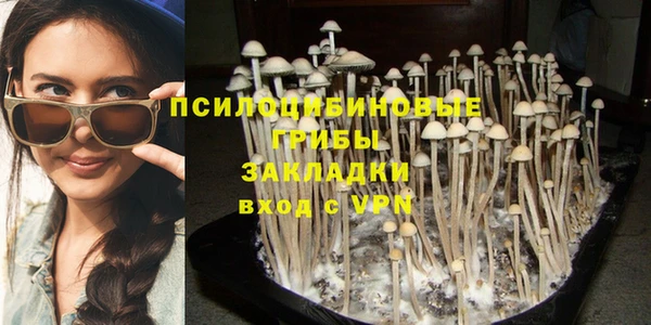 spice Заволжск