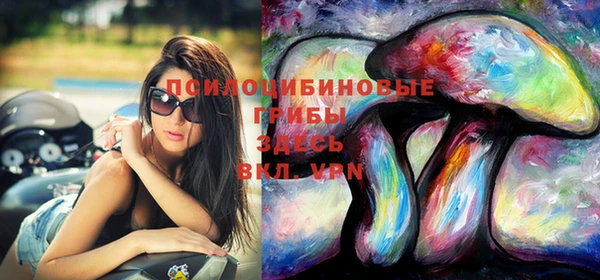 spice Заволжск