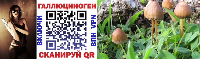 что такое наркотик  ссылка на мегу ССЫЛКА  Псилоцибиновые грибы Psilocybe  Орёл 